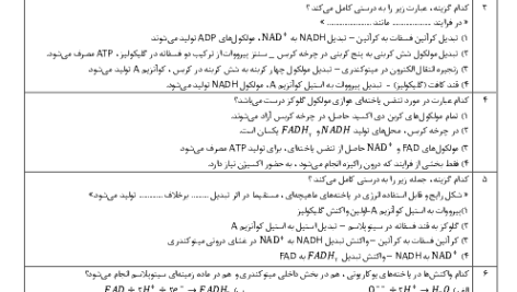 fd8aa2d201efc7f34ec3216dca85c447